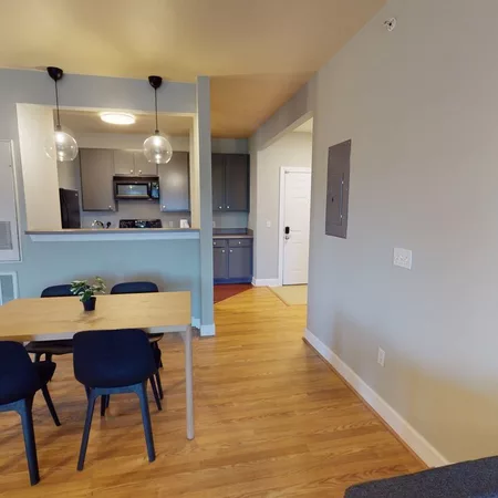 4 bedrooms apartment for rent in East Riverside Oltorf - South Central Austin, Austin
