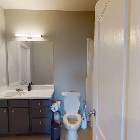 4 bedrooms apartment for rent in East Riverside Oltorf - South Central Austin, Austin