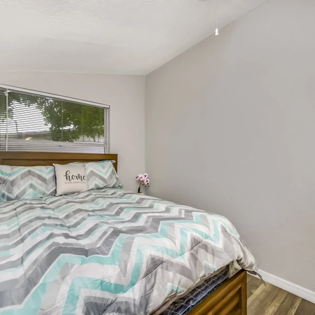 Coliving in Jungle Terrace - Clearwater-St. Petersburg, Tampa