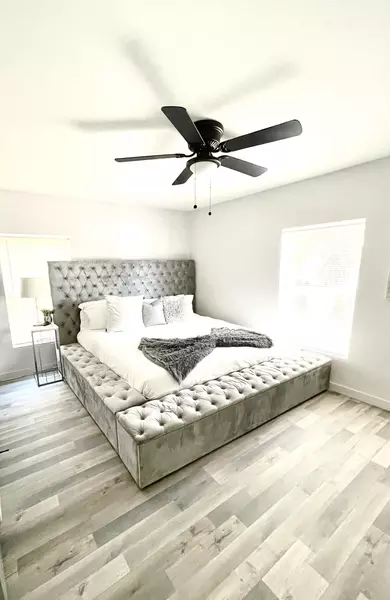 Coliving in Alamo Heights - Central SATX, San Antonio
