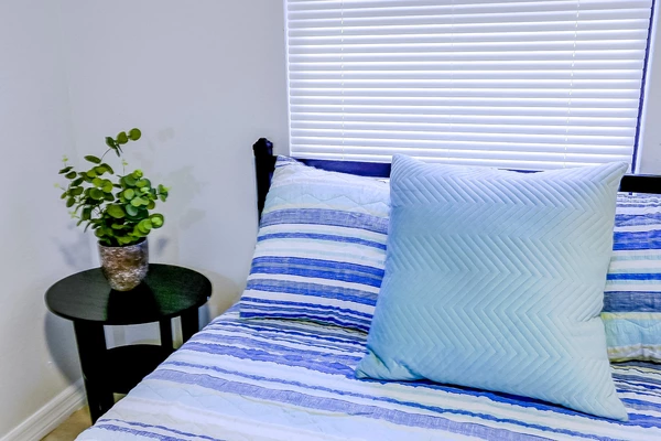 Coliving in Sulphur Springs - North Tampa, Tampa