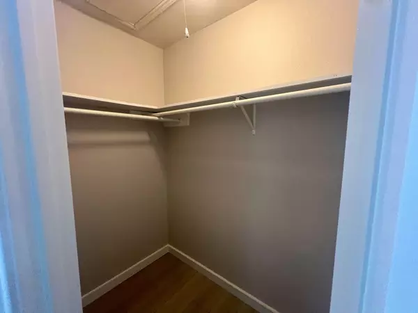 Coliving in North Lamar - North Austin, Austin