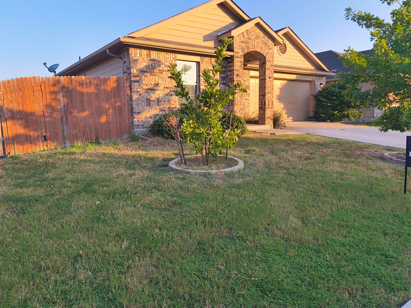 Coliving in Manor - East Austin, Austin