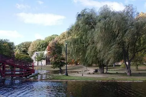 Coliving in Worcester - Metro Area, Boston