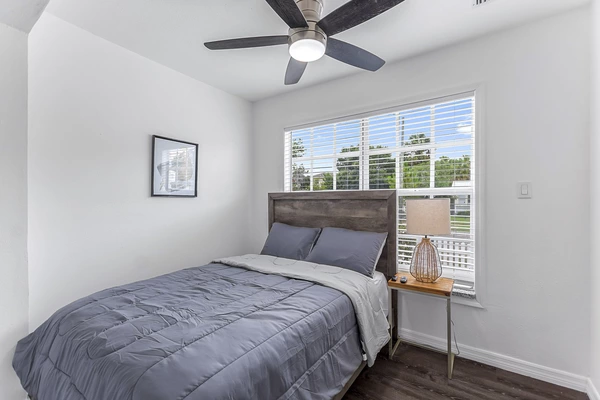 Coliving in Hyde Park Tampa - Central Tampa, Tampa