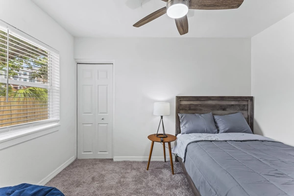 Coliving in Hyde Park Tampa - Central Tampa, Tampa