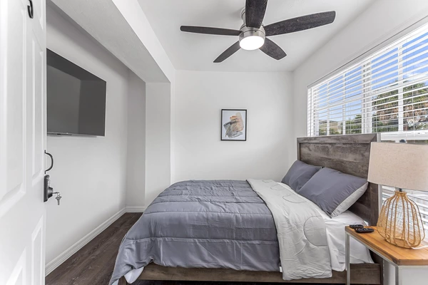 Coliving in Hyde Park Tampa - Central Tampa, Tampa