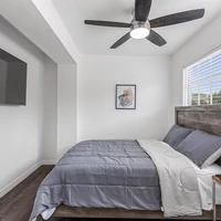 Coliving in Hyde Park Tampa - Central Tampa, Tampa