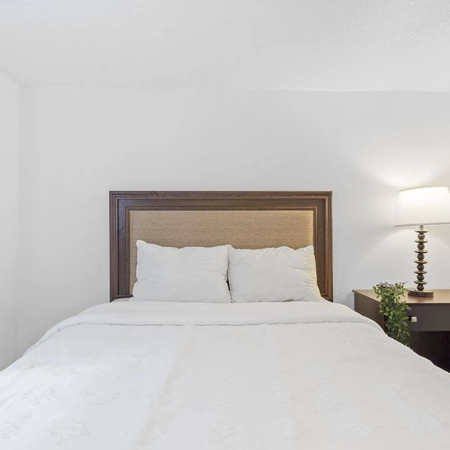 Coliving in Forest Hills Tampa - North Tampa, Tampa