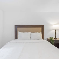 Coliving in Forest Hills Tampa - North Tampa, Tampa