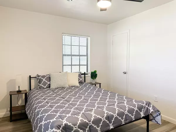 Coliving in Forest Hills Tampa - North Tampa, Tampa