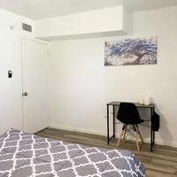 Coliving in Forest Hills Tampa - North Tampa, Tampa