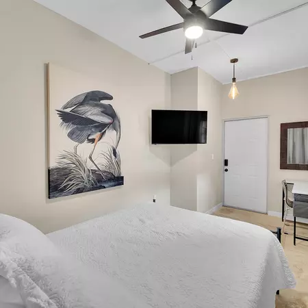 Coliving in Little Haiti - Miami, Miami
