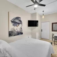 Coliving in Little Haiti - Miami, Miami