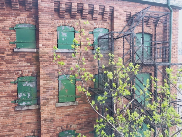 Coliving in Corktown - Downtown TO, Toronto