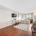 1 bedroom apartment for rent in Sandy Hill - Central Ottawa, Ottawa