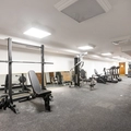 1 bedroom apartment for rent in Sandy Hill - Central Ottawa, Ottawa