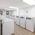2 bedrooms apartment for rent in Sandy Hill - Central Ottawa, Ottawa