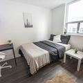 Coliving in Old Ottawa East - Central Ottawa, Ottawa