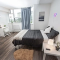 Coliving in Old Ottawa East - Central Ottawa, Ottawa