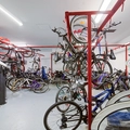 Coliving in Old Ottawa East - Central Ottawa, Ottawa
