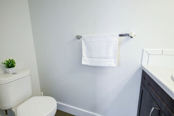 Coliving in Old Ottawa East - Central Ottawa, Ottawa