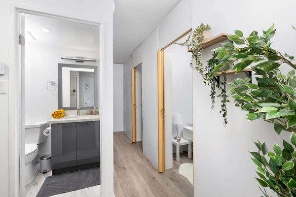 Coliving in Moss Park - Downtown TO, Toronto