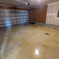 Coliving in Beatties Ford / Trinity - North Charlotte, Charlotte