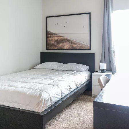 Coliving in Central East Austin - East Austin, Austin