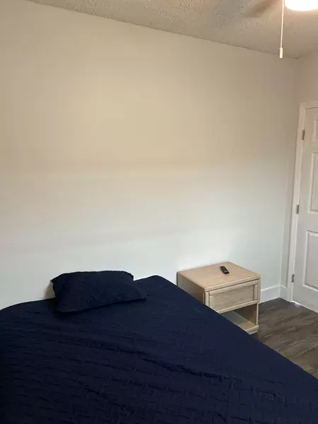 Coliving in Downtown St. Petersburg - Clearwater-St. Petersburg, Tampa