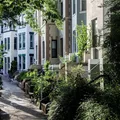 Coliving in Adams Morgan - NW DC, Washington DC