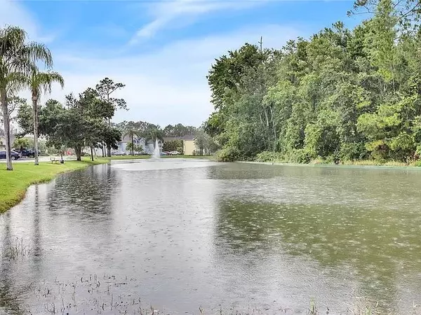 Coliving in University - North Tampa, Tampa