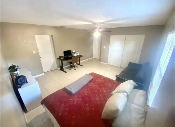 Coliving in Jungle Terrace - Clearwater-St. Petersburg, Tampa