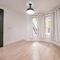 Coliving in Flatbush Ditmas Park - Brooklyn, New York