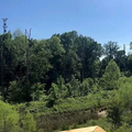 Coliving in Montclaire South - South Charlotte, Charlotte