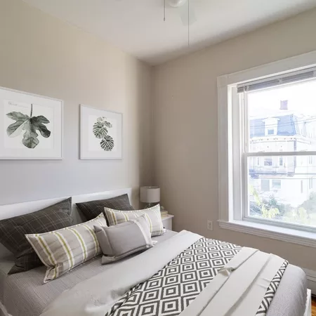 Coliving in Allston - Boston, Boston
