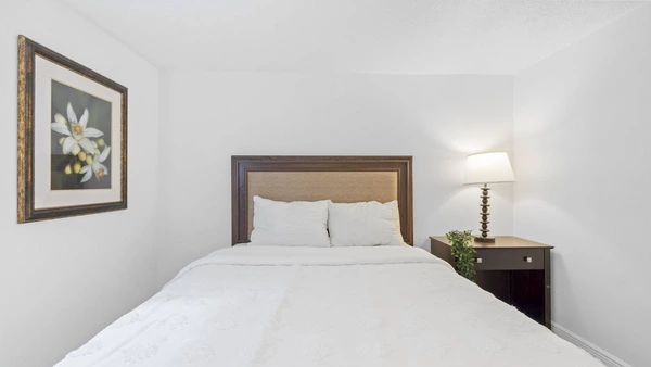 Coliving in Forest Hills Tampa - North Tampa, Tampa