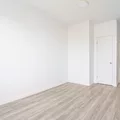 Coliving in Ditmas / Steinway - Queens, New York