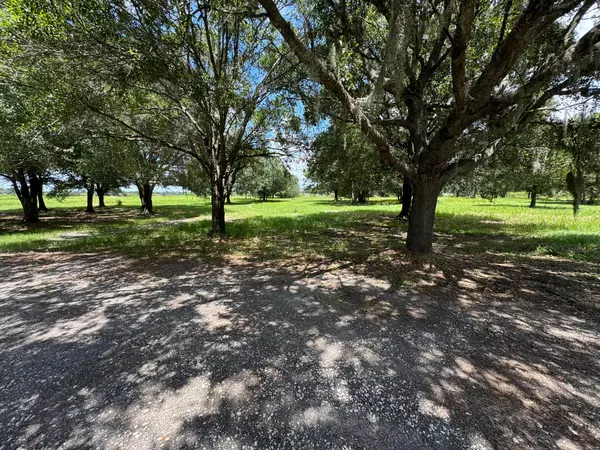 Coliving in Sun City Center - South Tampa, Tampa