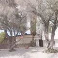 Coliving in Las Vegas - Las Vegas, Las Vegas