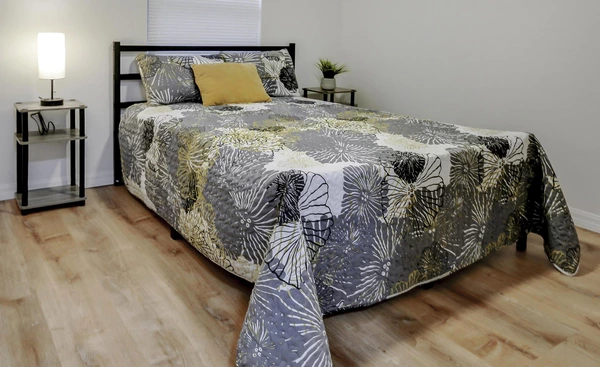 Coliving in University Square - North Tampa, Tampa
