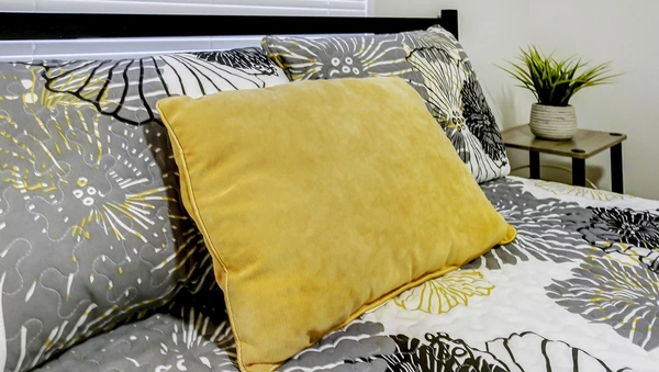 Coliving in University Square - North Tampa, Tampa