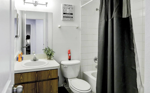 Coliving in University Square - North Tampa, Tampa