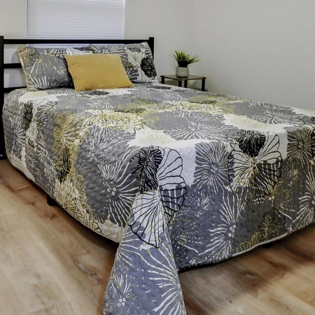 Coliving in University Square - North Tampa, Tampa