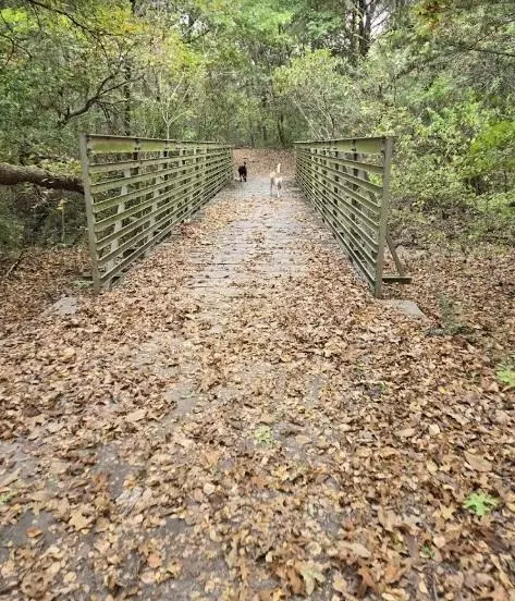 Coliving in DeSoto - Sw Dallas, Dallas