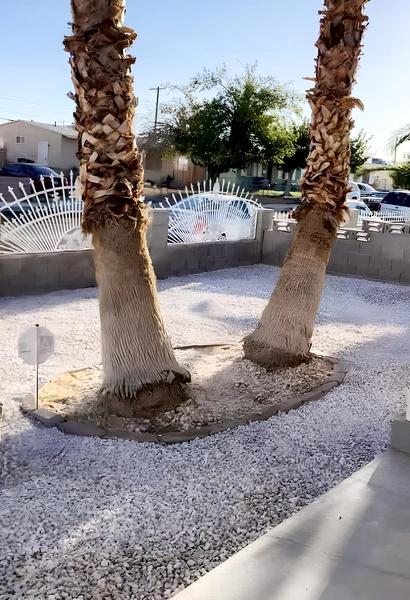 Coliving in Las Vegas - Las Vegas, Las Vegas