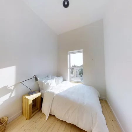 Coliving in Prospect Lefferts Gardens - Brooklyn, New York