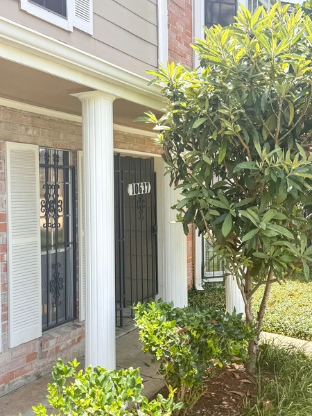 Coliving in Greater Fondren Southwest - Sw Houston, Houston
