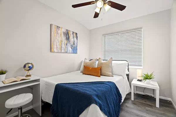 Coliving in Clearwater - Clearwater-St. Petersburg, Tampa