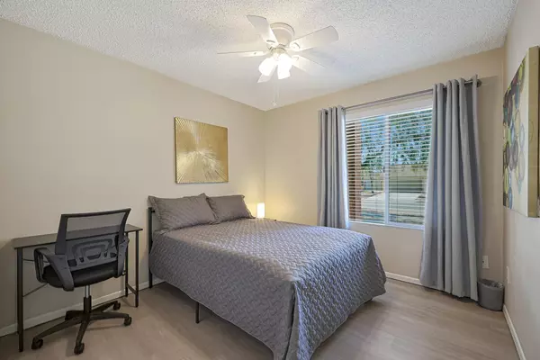 Coliving in North Mountain - Phoenix, Phoenix